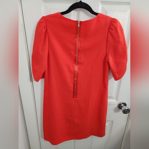 Cynthia Steffe Cocktail Orange Dress - Picture 2 of 3